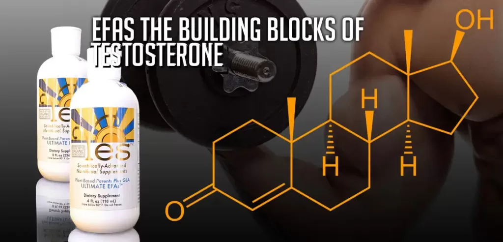 EFAs The building blocks of testosterone
